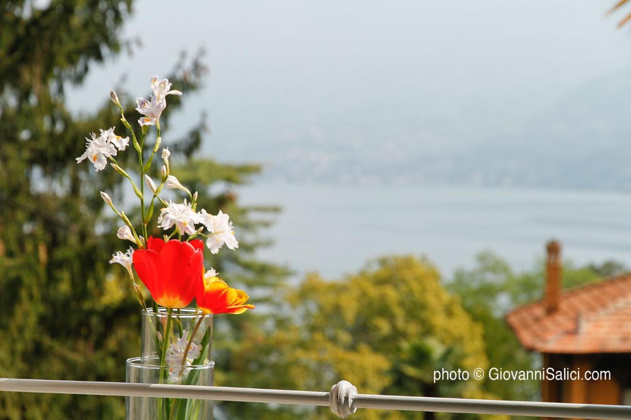 Santangela Hostel & Rooms Menaggio Dış mekan fotoğraf